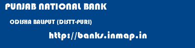 PUNJAB NATIONAL BANK  ODISHA BALIPUT (DISTT-PURI)    banks information 